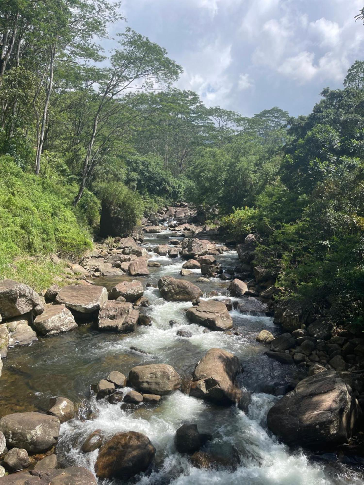 Eagles Lodge - Kandy 迪加纳 外观 照片