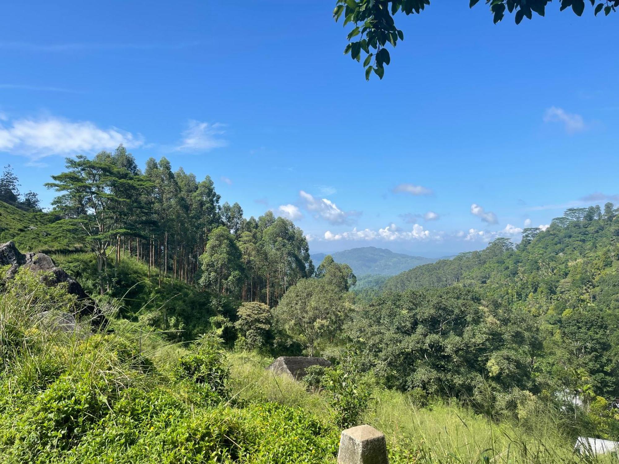 Eagles Lodge - Kandy 迪加纳 外观 照片