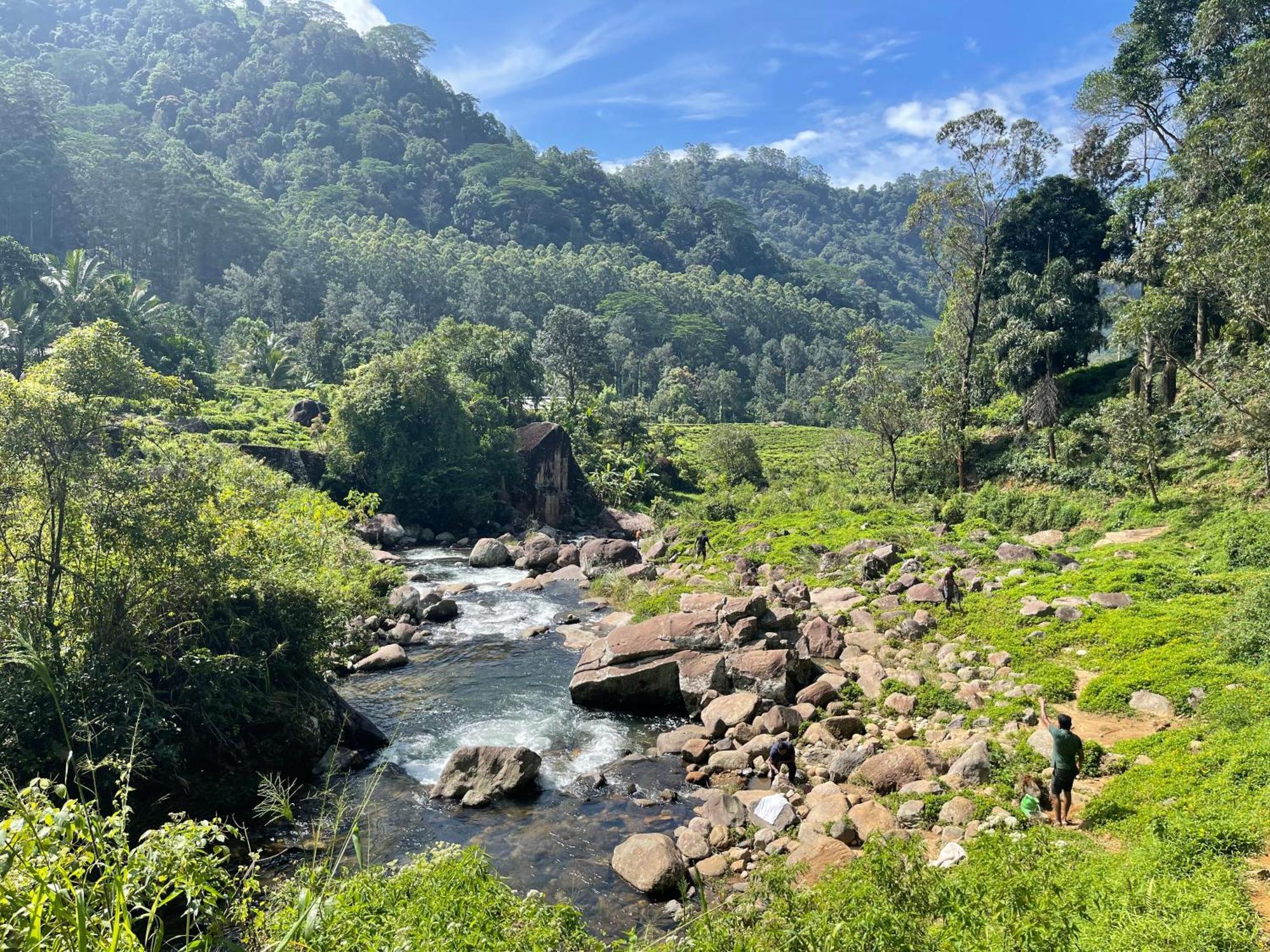 Eagles Lodge - Kandy 迪加纳 外观 照片